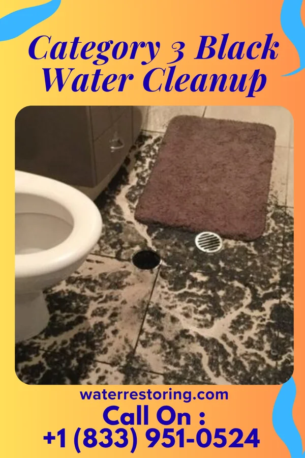 Category 3 Black Water Cleanup in Saint Davids, PA