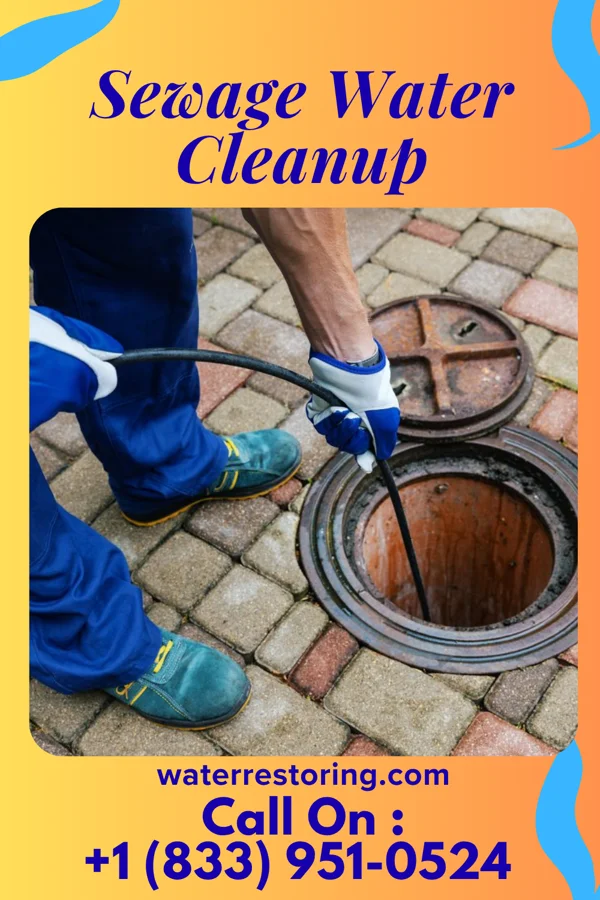 Sewage Water Cleanup in Saint Davids, PA